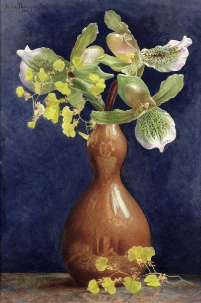 Orchideje v měděné váze, 1881 (tužka a wc zvýšené kvašem na papíře) od Helen Thornycroft
